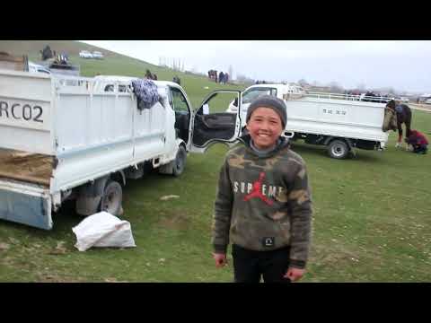 Видео: Карамазорнинг янги отларини Бир куринг