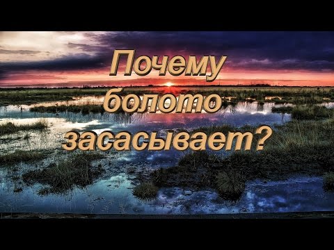 Видео: Почему болото засасывает? Анимированный видеоролик.