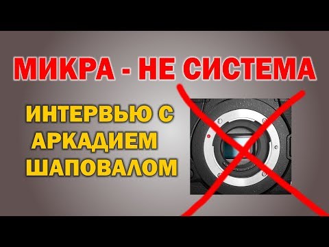 Видео: Микра - не система. Интервью с Аркадием Шаповалом.