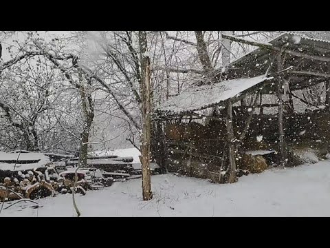 Видео: Поки за вікном хуртовина — вдома пиріжки та побутові клопоти
