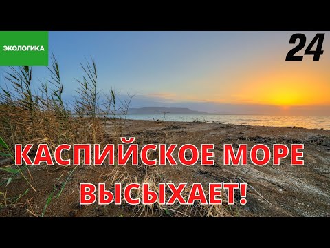 Видео: Повторит ли Каспий судьбу Арала? | Экологика