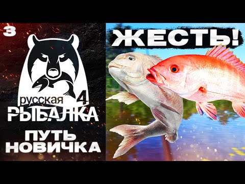 Видео: РР4 ПУТЬ НОВИЧКА №3 РАСКРЫЛ СЕКРЕТНУЮ ТОЧКУ!