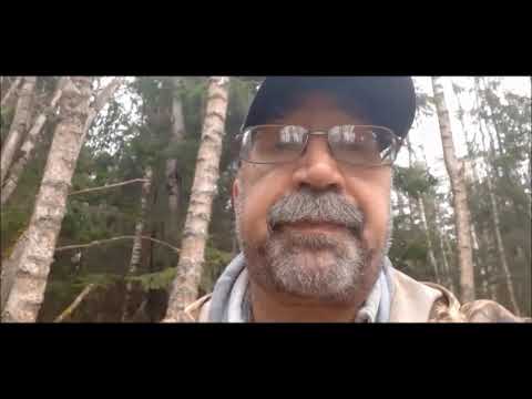 Видео: Тест патронов необычного снаряжения