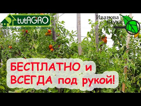 Видео: БЕСПЛАТНОЕ УДОБРЕНИЕ, КОТОРОЕ ПРОГОНИТ СЛИЗНЕЙ И УВЕЛИЧИТ УРОЖАЙ В 4 РАЗА! Всегда с собой!