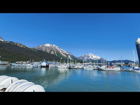 Видео: АЛЯСКА где побывать.Seward Kenai Fjords National Park Cruise with Lunch.