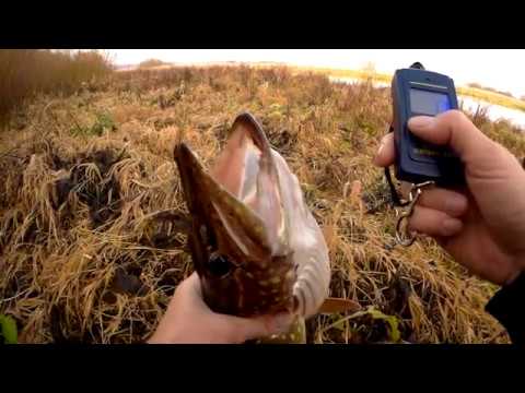 Видео: Щука на неогруженную резину поздней осенью.