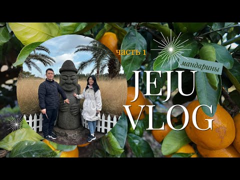 Видео: ч.1 VLOG JEJU Южная Корея,  остров Чеджу. Лучший парк Собираем мандарины, где арендовать машину влог