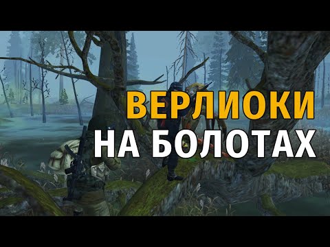 Видео: 118. Верлиоки на Болотах. Сталкер Онлайн | Stalker Online | Stay Out. RU2.