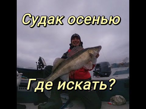 Видео: Судак осенью на джиг с лодки! Где искать? Как выглядят места? Разбор скриншотов Lowrance Elite Fs!