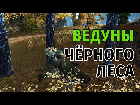 Видео: 123. Ведуны Чёрного Леса. Сталкер Онлайн | Stalker Online | Stay Out. RU2.