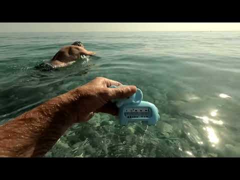 Видео: Кемер 2025🇹🇷 Armas Gul Beach 18 мая.Пляж, погода, температура воды. 🌡️