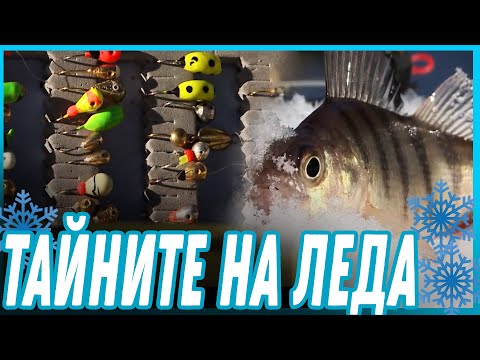 Видео: Тайните на леда / Безценни съвети и куп тънкости