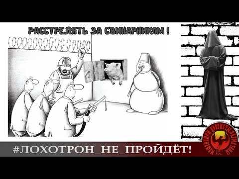 Видео: Расстрелять за свинарником! (Автор - Станислав)