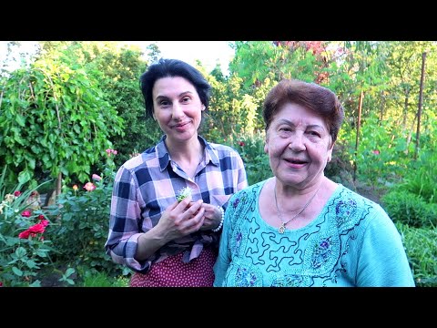Видео: Кто с нами на ДАЧУ? Хотите на нее ПОСМОТРЕТЬ? @Мамины рецепты на ДАЧЕ! Дыдынские на связи
