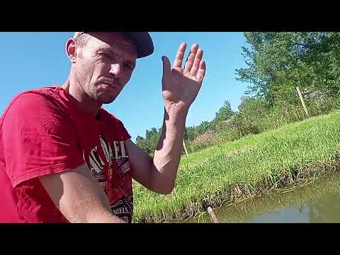 Видео: Зариблюемо вь'юном,раками та лином.Нарешті🔥🔥🔥