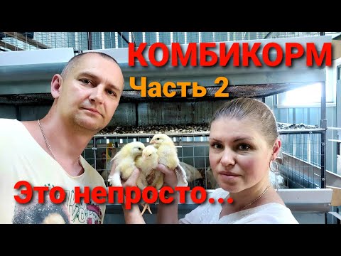 Видео: САМОДЕЛЬНЫЙ КОМБИКОРМ - ВСЯ ПРАВДА! Разговор с "ЮЖНОЙ КОРОНОЙ". Технология производства комбикорма