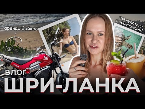 Видео: СКОЛЬКО СТОИТ ОДИН ДЕНЬ НА ШРИ-ЛАНКЕ? 💸 Отель, аренда байков, еда, красивые места на острове 🌴 