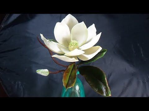 Видео: МАГНОЛИЯ ИЗ ПОЛИМЕРНОЙ ГЛИНЫ  (ЧАСТЬ 2). MAGNOLIA