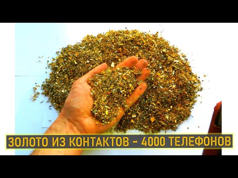 Видео: ЗОЛОТО ИЗ КОНТАКТОВ ~ 4000 ТЕЛЕФОНОВ!