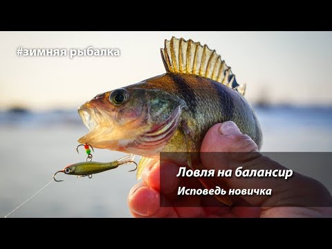 Видео: Ловля на балансир. Путь новичка