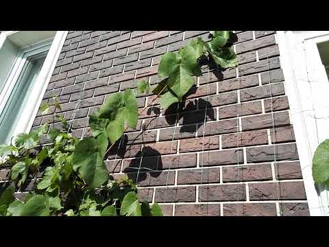 Видео: Альта профиль, НЕ ПОКУПАЙТЕ,  облезла краска через 5 лет!!!