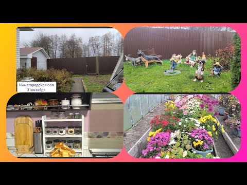 Видео: 31-10-25,, Жизнь на пенсии,, Хроника дня.Посадила лук на зелень.Красота теперь в теплице.🤗