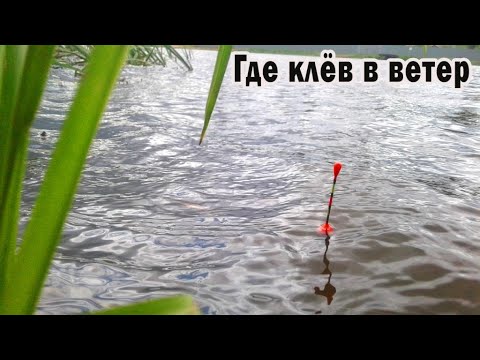 Видео: Где стоит рыба в сильный ветер. Рыбалка на поплавок на карася