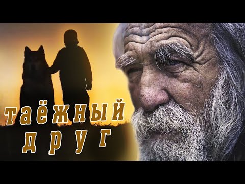 Видео: 🐺Мой дикий таёжный друг ВОЛК! Случай в тайге!