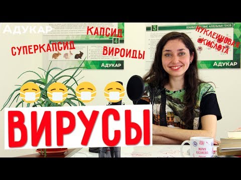 Видео: Вирусы | Биология ЦТ, ЕГЭ