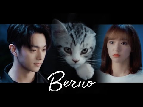 Видео: Клип на дораму Влюбиться в твою улыбку/ Лу Сы Чен & Туняо/ Вечно/ (HBD @pifanlisa )