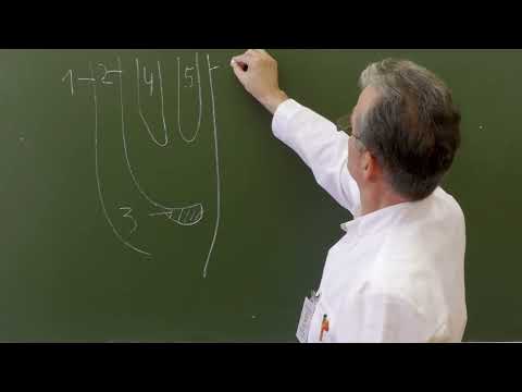 Видео: Пластика по Руджи при бедренных грыжах