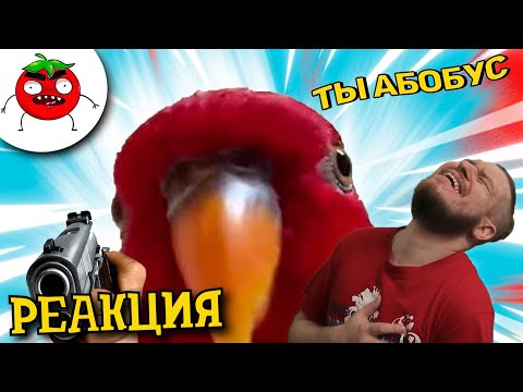 Видео: ЗАСМЕЯЛСЯ - ПОДПИСАЛСЯ!! ЛУЧШИЕ ПРИКОЛЫ I 487 СЕКУНД СМЕХА - РЕАКЦИЯ НА БАЛТИМОР