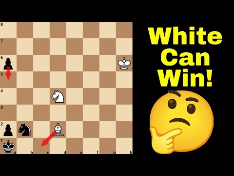 Видео: Сможете ли вы победить?