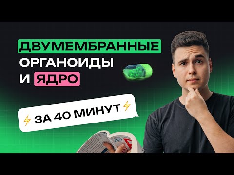 Видео: Двумембранные органоиды и ядро (короткометражка). Тест-Драйв, занятие №1