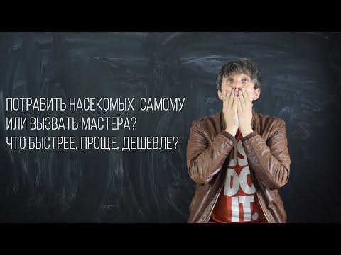 Видео: Потравить  насекомых самому или вызвать мастера? Что проще, быстрее, дешевле?