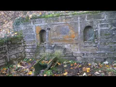 Видео: За вода от 100годишната чешма .Изградена в миналото с труда и средствата на всички от село Бойноввци
