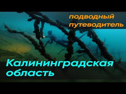 Видео: 🎯 Подводный путеводитель ApneaPro. Калининградская область. Балтика, Виштенецкое озеро, Синявино.