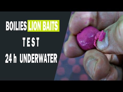 Видео: Бойлы LION BAITS 24 часа в воде (тест)