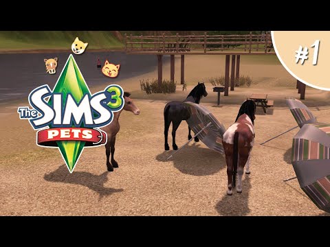 Видео: The Sims 3 ПИТОМЦЫ #1 Кошачий сад
