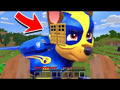 Видео: ПОСТРОИЛ БАЗА В МЕГА ГОНЩИК ЩЕНЯЧИЙ ПАТРУЛЬ ЛОВУШКИ ИСПЫТАНИЯ МЕГАЩЕНКИ МАЙНКРАФТ РАЙДЕР БИТВА МОД 2