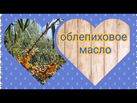 Видео: Облепиховое масло из жмыха и косточек, как приготовить