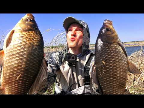 Видео: РЕАЛЬНЫЕ ЛАПТИ В ДЕБРЯХ КАМЫША!  САМАЯ ЭМОЦИОНАЛЬНАЯ ЛОВЛЯ КАРАСЯ - НА БОКОВОЙ КИВОК