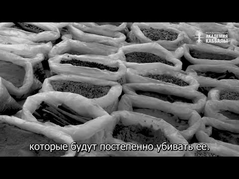 Видео: Яд находится в твоей голове. Взгляд каббалиста