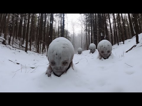 Видео: Вот Почему На Аляске Пропадают Тысячи Людей! Топ 20