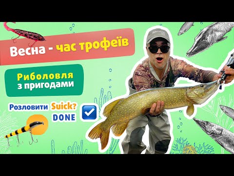 Видео: ЩУКА хоче BIG. Непогана щука на початку травня. Стабільні результати на великі джеркбейти.