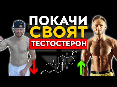 Видео: ВИСОКИ НИВА НА ТЕСТОСТЕРОН