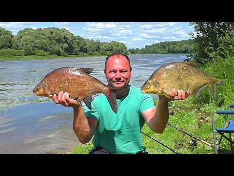 Видео: Огромные ЛЕЩИ на ОСНАСТКУ с пенопластом и салом! Рыбалка на донки (фидер)! Рыбалка на Оке!