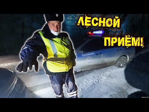 Видео: Лесной ночной развод / Я тебя в лесу поломаю! ДПС