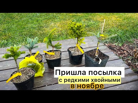 Видео: Распаковка новинок! Как сохранить в зиму?