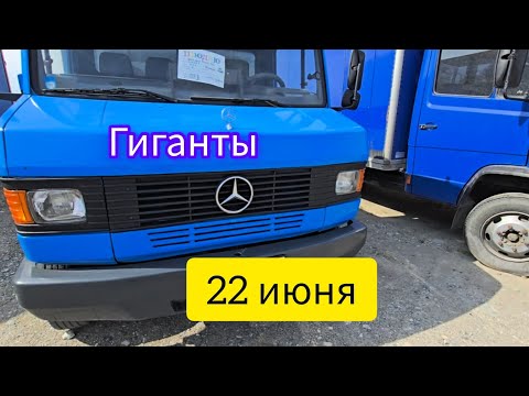 Видео: Авторынок Бишкека на 22 июня. Гиганты